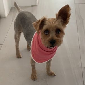 Meet your Posher, Cannoli